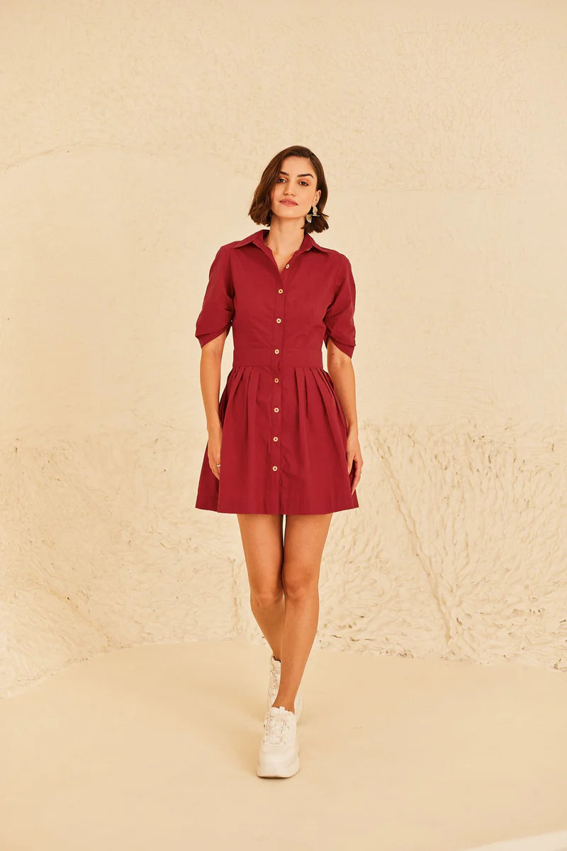 Clara Skater Dress