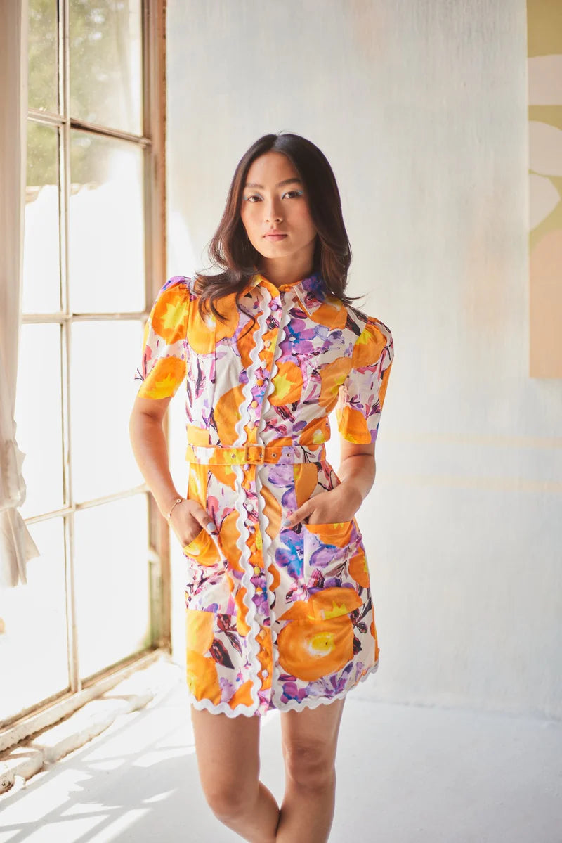 Fia Shirt dress